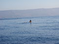 Thumbnail for version as of 04:47, 28 July 2011