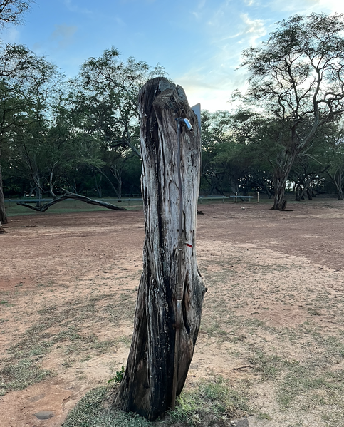 File:Papohaku beach shower.png