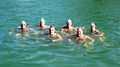 Thumbnail for version as of 07:51, 28 April 2012