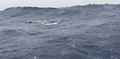 Thumbnail for version as of 02:21, 14 April 2024