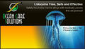 Thumbnail for version as of 18:25, 28 August 2011