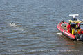 Thumbnail for version as of 18:22, 2 March 2013